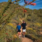 Joggers & Ocotillo