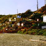 Crystal_Cove_North_Beach_area_request_by_Laura-(ZF-2229-58183-1-008)_cmyk