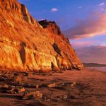 Torrey Pines State Reserve -Courtesy Brett Shoaf Artistic Visuals