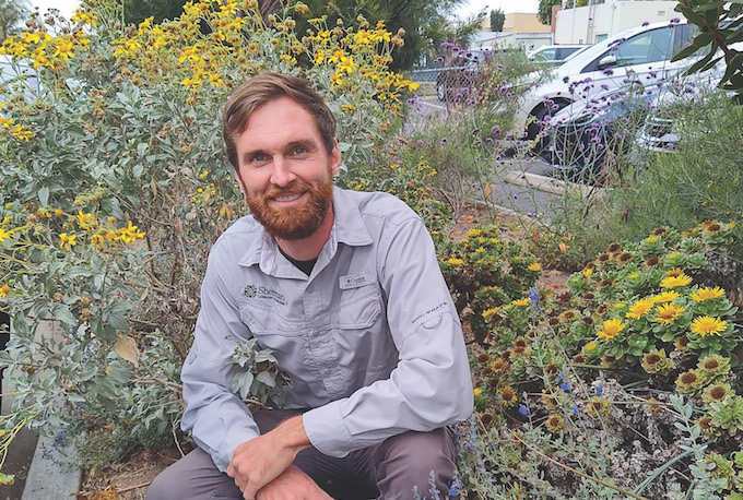 Kyle with Encelia farinosa & Salvia chamaedryoides_second one is a Mexican native which reaches close to SoCal but not technically in our state-Kyle Cheesborough-credit Tim Chadd