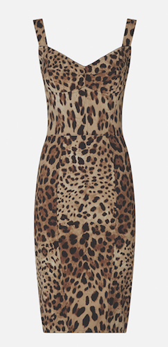 Leopard-Print Cady Corset-Style Midi Dress