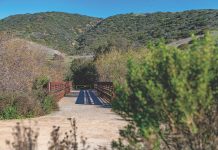 Moro Canyon Trail_Crystal Cove Conservancy