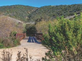 Moro Canyon Trail_Crystal Cove Conservancy