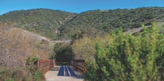 Moro Canyon Trail_Crystal Cove Conservancy