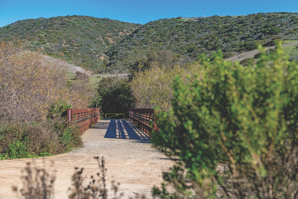 Moro Canyon Trail_Crystal Cove Conservancy