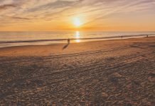 stress less with walks on the beach - credit Noah Sauve/shutterstock